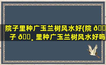 院子里种广玉兰树风水好(院 🐯 子 🌸 里种广玉兰树风水好吗*
)